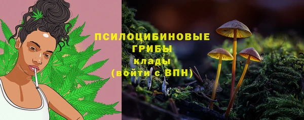 метамфетамин Алексеевка