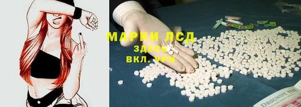 крисы Алексин