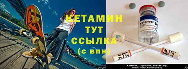 крисы Алексин
