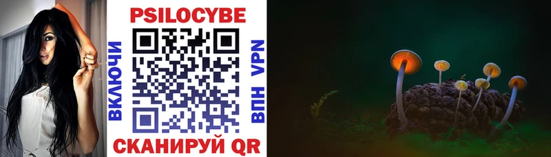 Галлюциногенные грибы Cubensis  Андреаполь 