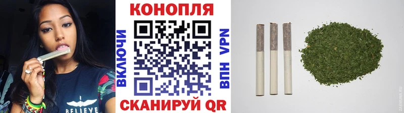 Бошки Шишки сатива  Андреаполь 