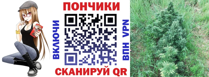 Бошки Шишки THC 21% Андреаполь